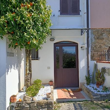 马格拉新堡Locazione Turistica La Gesualda公寓 外观 照片